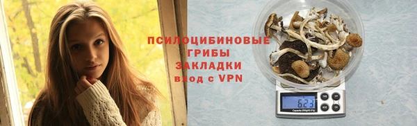 ALPHA-PVP Надым