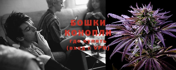 молекула духа Тайга